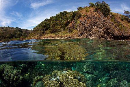 Apo Island, as beautiful above as below the surface. by Steve De Neef 