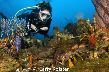 Roatan diver looking at crab, D300, Tokina 10-17 lens by Larry Polster 