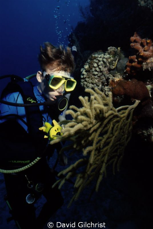 My son, Andrew,examines a coral branching from the wall. ... by David Gilchrist 