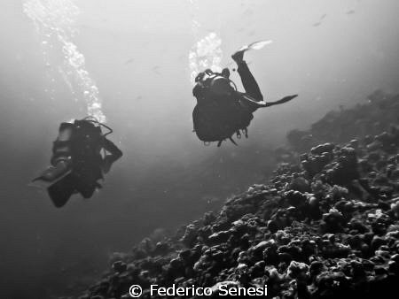 Divers by Federico Senesi 