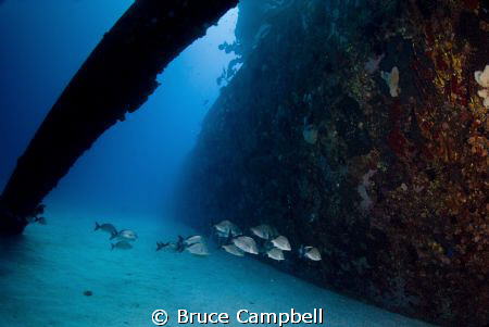 wreck of the Commerce by Bruce Campbell 