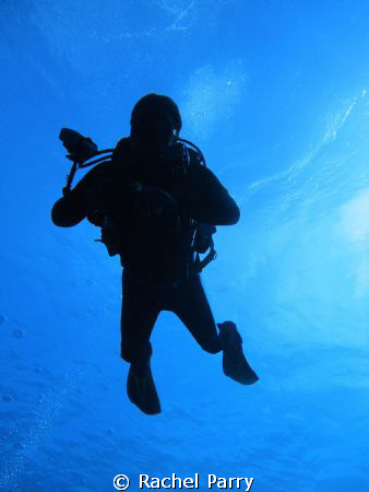 Silhouette of a friend, Sony, fantastic dive to the Blue ... by Rachel Parry 