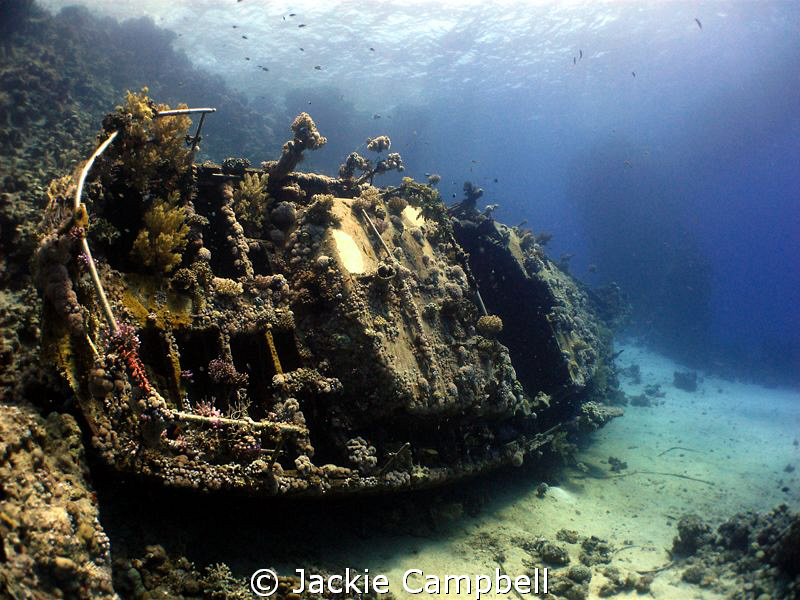 Wreck at small abu gallawa. by Jackie Campbell 