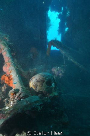 Skull in a wreck in Truk Lagoon! RIP Cam: Nikon D90 Housi... by Stefan Heer 