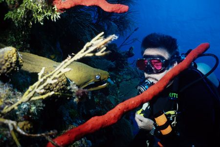 Making Friends-My Dive Buddy David watches a green moray ... by Michael Shope 