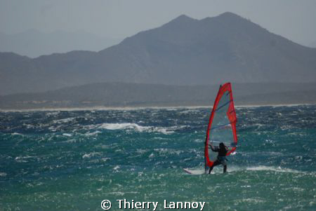 Windsurfing in Los Barriles, with my buddy Jorge. 
Baja ... by Thierry Lannoy 