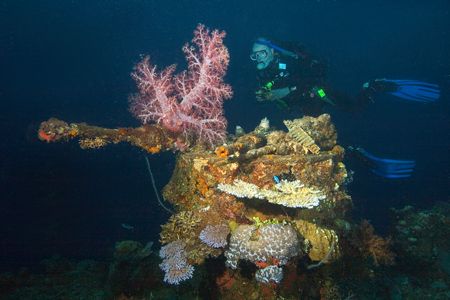 Coral encrusted bow gun on the Sankisan Maru, Truk Lagoon... by Kenneth Mostello 