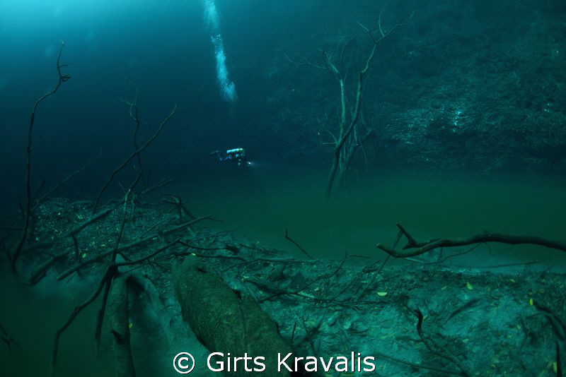 Cenote Angelita(looks,like underwater river) by Girts Kravalis 