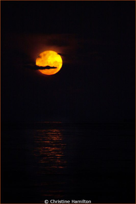 Moonrise over the Dive Boat by Christine Hamilton 