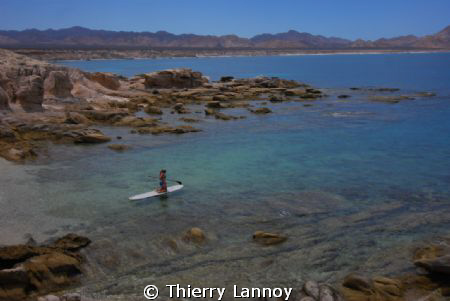 Stand Up Paddle in Cabo Pulmo Marine Park, Baja Californi... by Thierry Lannoy 