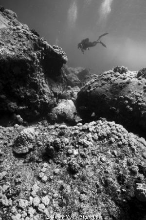 Flat Island Dive Mauritius 7metres balanced light by Jean-Yves Bignoux 
