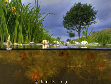 Some half-half in fresh water from last weekend. Used HDR... by John De Jong 