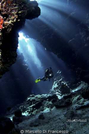 The Cave
Dangerous Reef, Red Sea by Marcello Di Francesco 