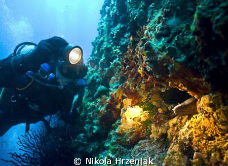 match divers and murine by Nikola Hrzenjak 
