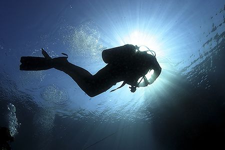 Catching Rays. Taken at the end of the dive, water was ve... by James Dally 