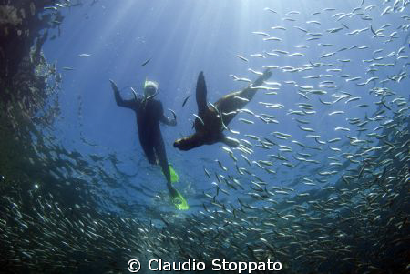 snorkeling by Claudio Stoppato 