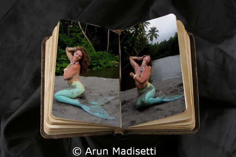 Fish Identification book. by Arun Madisetti 