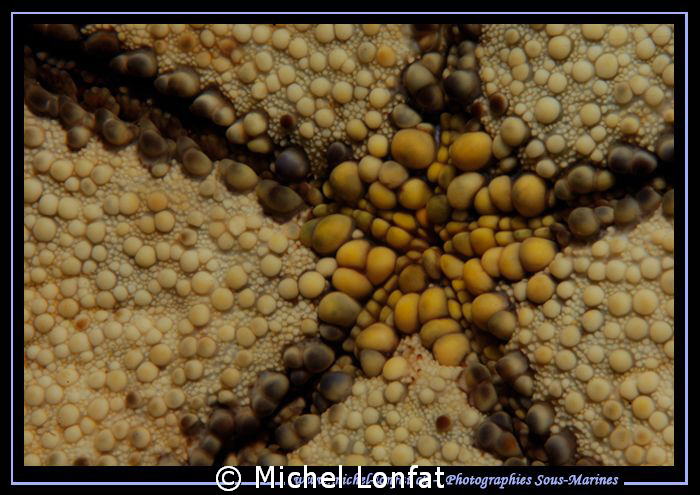 Patterns in the water's of Lembeh Strait.... :O) by Michel Lonfat 