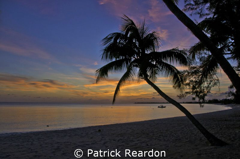 Not a bad end to a great day of diving in the Cayman Isla... by Patrick Reardon 