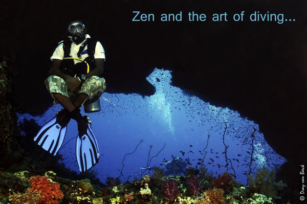 Zen and the art of diving... by Dray Van Beeck 