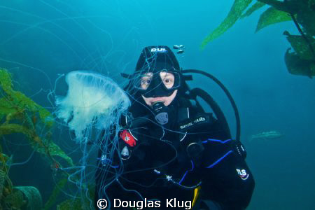 Drifting Vistor. A diver meets an egg-yolk jelly at Anaca... by Douglas Klug 
