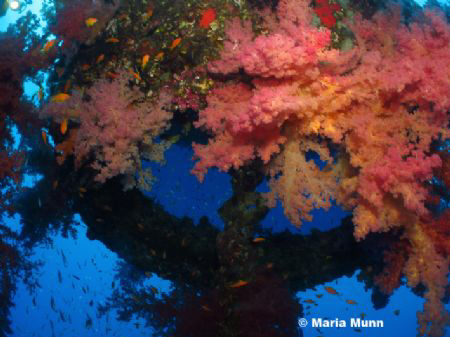 This is a shot of Sinkers, a buoy sunk by the Israelis th... by Maria Munn 