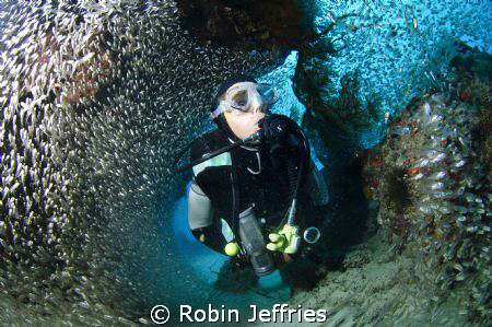 diver at tounge reef by Robin Jeffries 