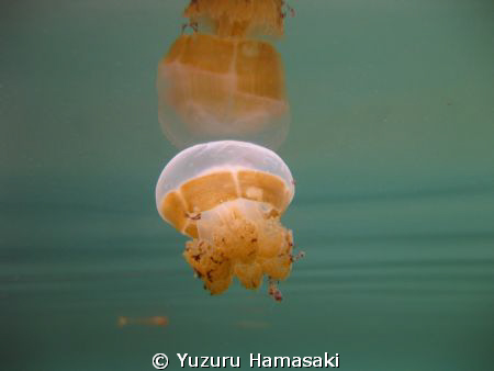 This is taken in a lake in Indonesia. The water is salty ... by Yuzuru Hamasaki 