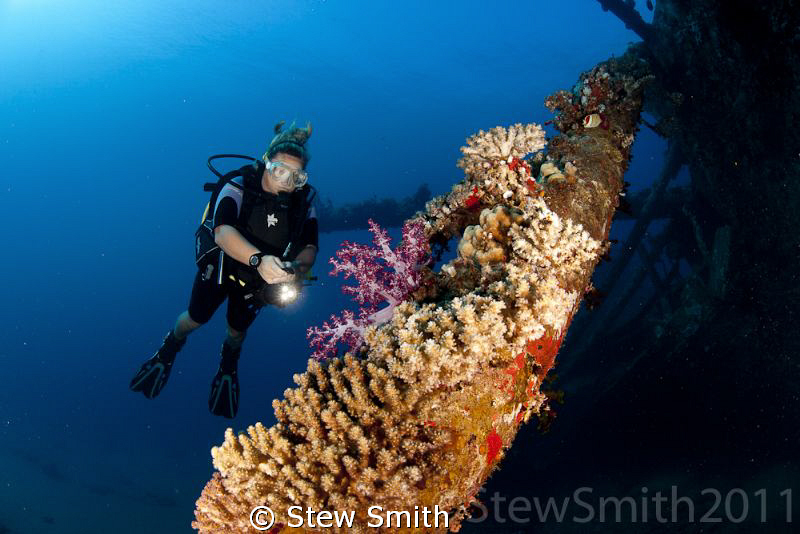 A diver inspects the beautiful corals growing on one of t... by Stew Smith 