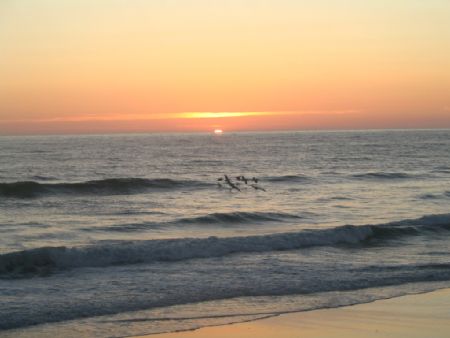 Sunset on Del Mar beach.Pelicans and dolphins. by Jon Justice 