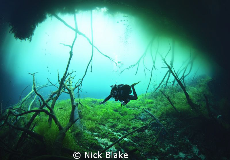 A dive in Car Wash cenote, Yucatan, Mexico. by Nick Blake 