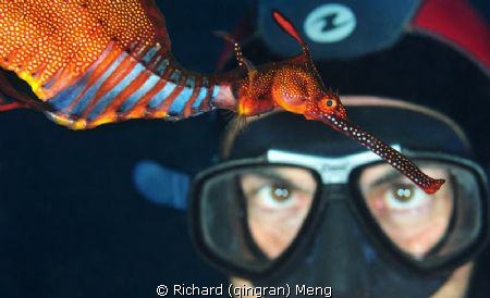 Eye to Eye with Dragon / A diver was astonished by the co... by Richard (qingran) Meng 