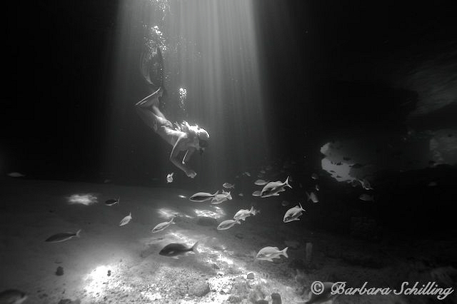 Skin Diver exploring Thunderball Caves by Barbara Schilling 