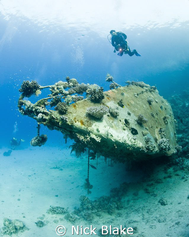 Diver over yacht wreck, Red Sea South by Nick Blake 