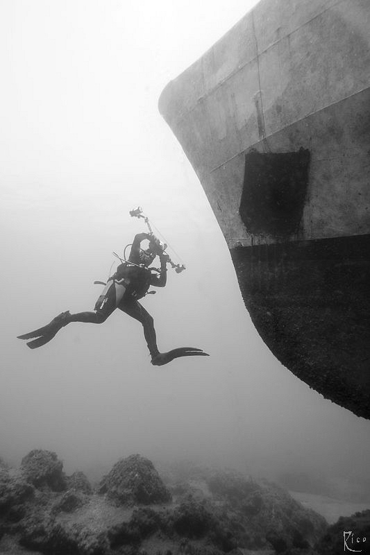 uw photographer v/s shipwreck -)

shot in B/W, natural ... by Rico Besserdich 