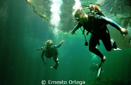 This picture is taken in a "Cenote"
Cenotes are very fam... by Ernesto Ortega 