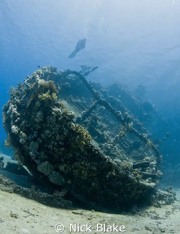 Diver & Tug Boat wreck, Red Sea South by Nick Blake 