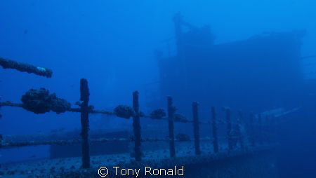 Wreck Dive South Oahu Hawaii by Tony Ronald 