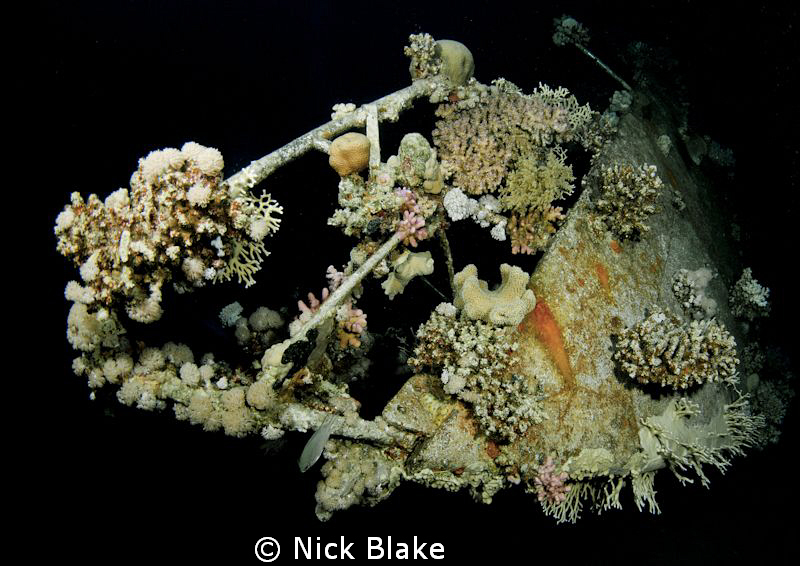 The bow of a yacht wreck taken at dusk.
Southern Red Sea... by Nick Blake 