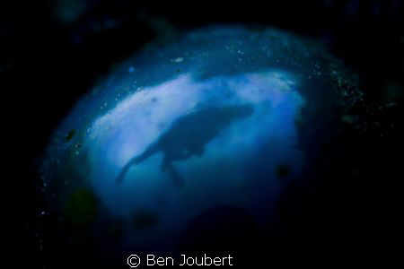 Diver & surrounding reef reflection in a Sea Pearl by Ben Joubert 
