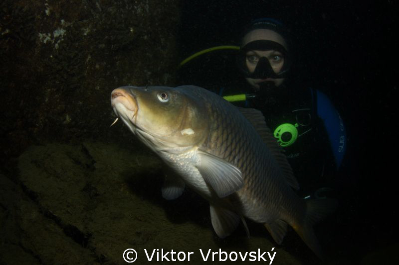 Carp and my buddy by Viktor Vrbovský 