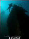 Coopers Light wreck - arguably one of the best wreck dive... by Bryan Hart 