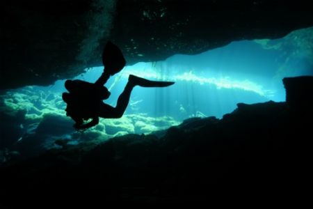 At the mouth of a Cenote called Ponderosa, Mexico. Gin cl... by Steve Baillie 