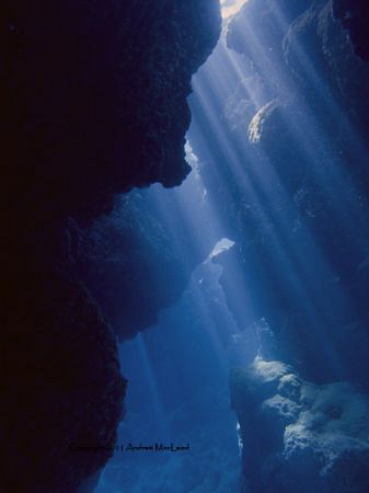 Inside a cave on Niue by Andrew Macleod 