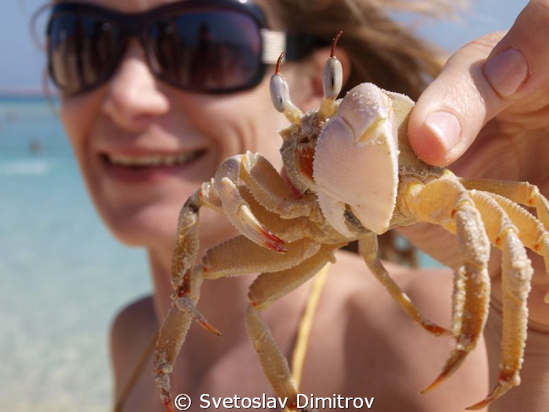 My wife with a gost crab at the beach of Gifton Island, E... by Svetoslav Dimitrov 