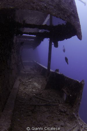 Thistlegorm Wreck red Sea by Gianni Cicalese 