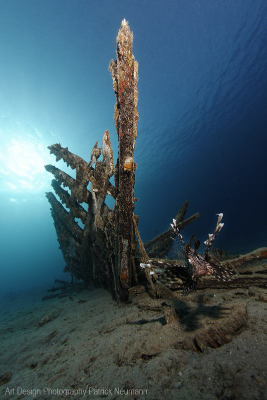 wreck with Lionfish by Patrick Neumann 