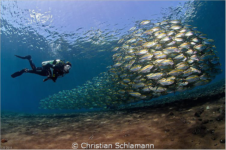 At the end of the dives at the drop off in Tulamben we of... by Christian Schlamann 