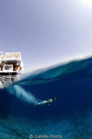 Diving into crystal waters in the Gulf of Aqaba by Camilla Floros 