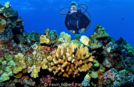 Diver in Kona Hawaii by Kevin Robert Panizza 